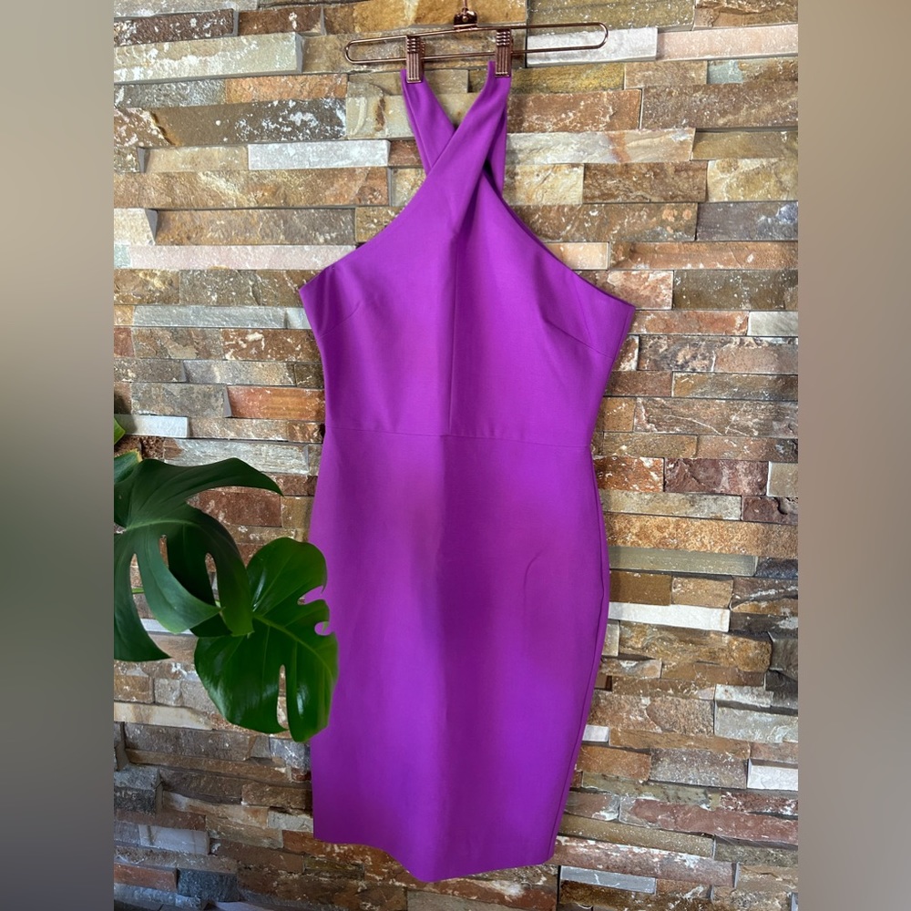 Likely fuschia cocktail dress CAROLYN size 4